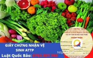 giay phep ve sinh attp