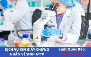 giay phep ve sinh attp 9