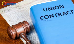 hop dong lao dong 1