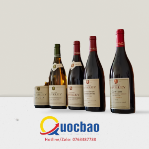 Giấy phép bán lẻ rượu