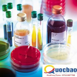 Xin giấy phép hoạt động ngành in