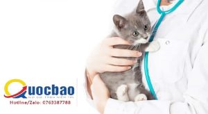 Xin giấy phép sản xuất thuốc thú y