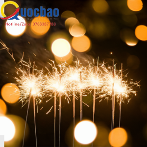 Kinh doanh các loại pháo trừ pháo nổ 1 Kinh doanh các loại pháo trừ pháo nổ