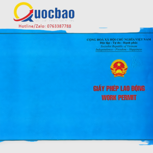 Các biểu mẫu làm giấy phép lao động