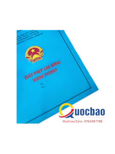 Đơn đề nghị xin cấp mới, gia hạn, cấp lại giấy phép lao động