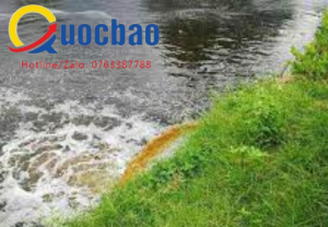 Xử phạt hành vi xả nước thải ra môi trường