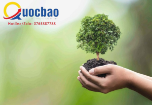 Nghị định 179 xử phạt về môi trường