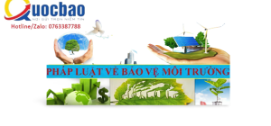 Những quy định của pháp luật về bảo vệ môi trường