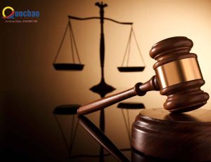 Tư vấn pháp lý doanh nghiệp. 4 tvpl4