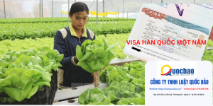 logo moi 1 601 × 400 px 800 × 400 px 2