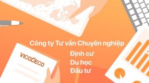 Trung tâm tư vấn du học Quận 7 1 Công ty TNHH Vicoedu Du Học