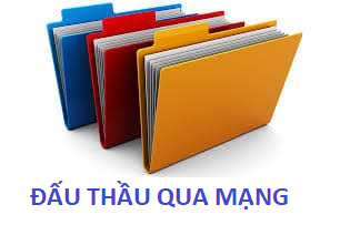 dau thau qua mang