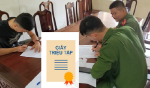 giay trieu tap