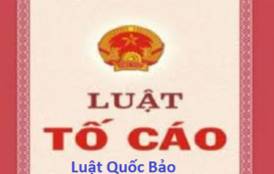 luat to cao