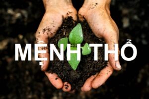 Đặt tên công ty hợp mệnh Thổ