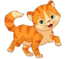 Đặt tên công ty hợp tuổi Mão 1 Đặt tên công ty hợp tuổi Mão