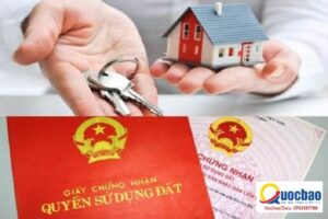 Thủ tục cấp Giấy chứng nhận Quyền sử dụng đất lần đầu
