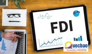 外国投資で会社を設立しますか