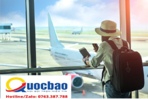 為在越南的外國人提供擔保