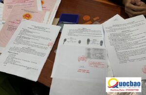 Look up Vietnam entry dispatch.