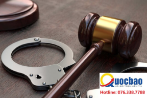 外國人在越南犯罪