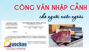 출입국 파견 서비스