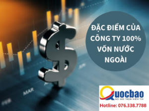 establishing a foreign-invested company in the Vietnamese market