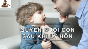 xác định quyền nuôi con và hỗ trợ trẻ em trong trường hợp ly hôn