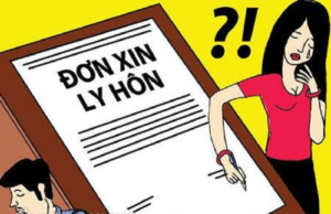 văn phòng luật sư ly hôn quận 10