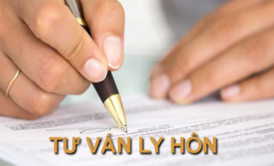 văn phòng luật sư ly hôn quận 9