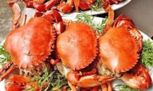 Quán ăn ngon tại huyện Thanh Oai