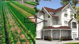 Chuyển đổi đất nông nghiệp sang đất ở