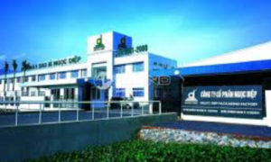 Những lưu ý khi thành lập công ty vốn nước ngoài 2 450 × 300 px 500 x 300 px 5