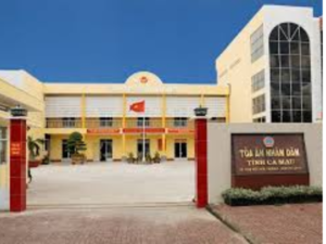 hoa thien dieu 624 x 312 px 470 x 312 px 628 x 470 px 2024 09 21T164512.900