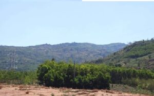 Các loại đất chưa sử dụng