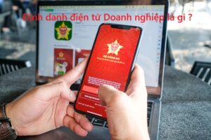 Định danh điện tử Doanh nghiệp là gì ?