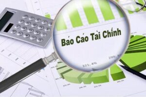 Doanh nghiệp có quy mô lớn phải kiểm toán báo cáo tài chính hàng năm
